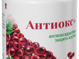 Бетулин Антиокс Г Щучин Аптеки