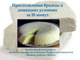 Как сделать брынзу в домашних условиях из домашнего молока с пепсином Как сделать брынзу в домашних условиях из домашнего молока с пепсином