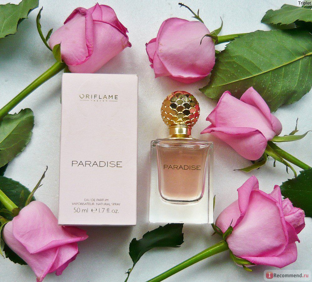 Paradise Отзывы О Интернет Магазине