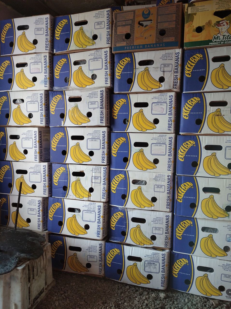 Где Можно Купить Банановые Коробки