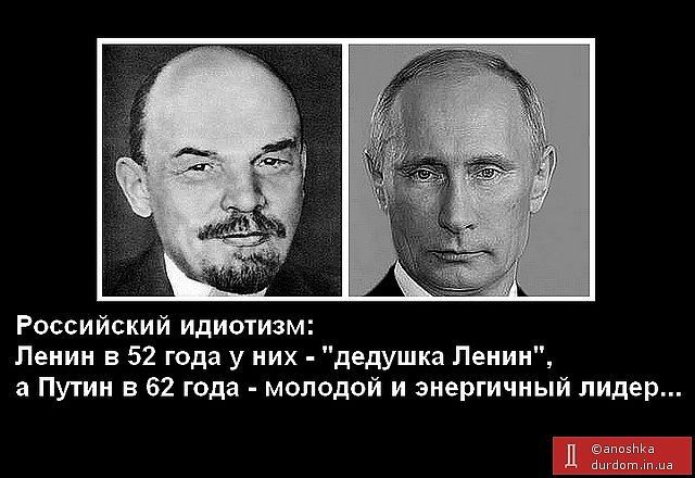 Цитата про идиотизм Цитата про идиотизм