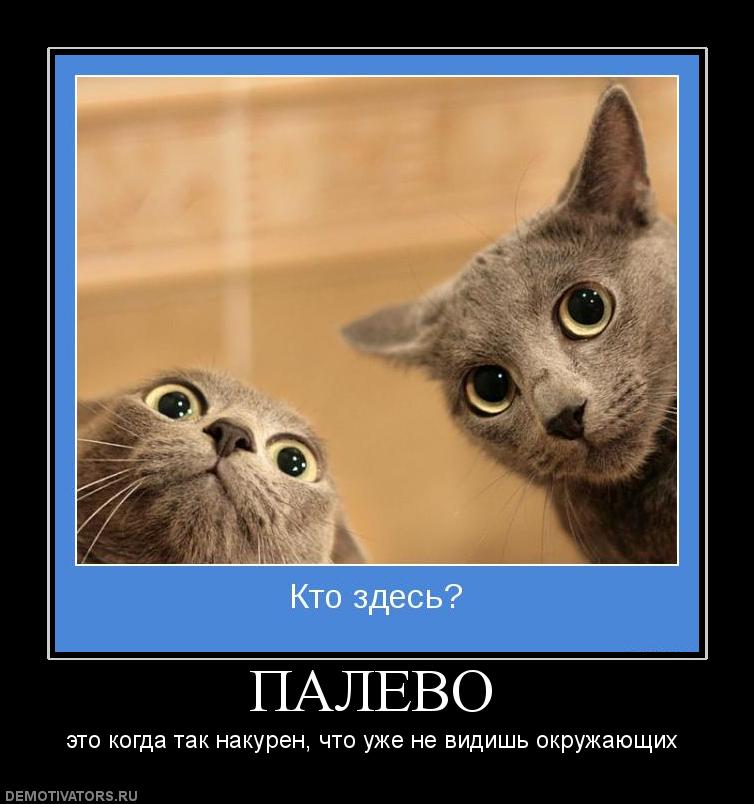 Скачать песню палево работать