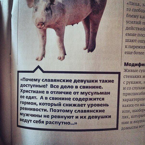 Легенда почему мусульмане не едят свинину Легенда почему мусульмане не едят свинину