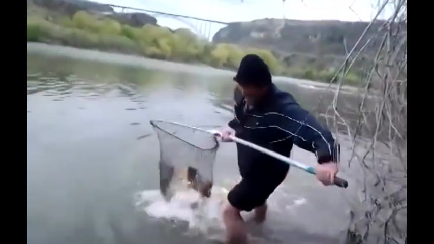 ловля рыбы пилы видео ловля рыбы пилы видео