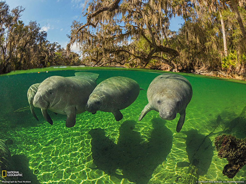 Лучшие фотографии National Geographic за июль 2013
