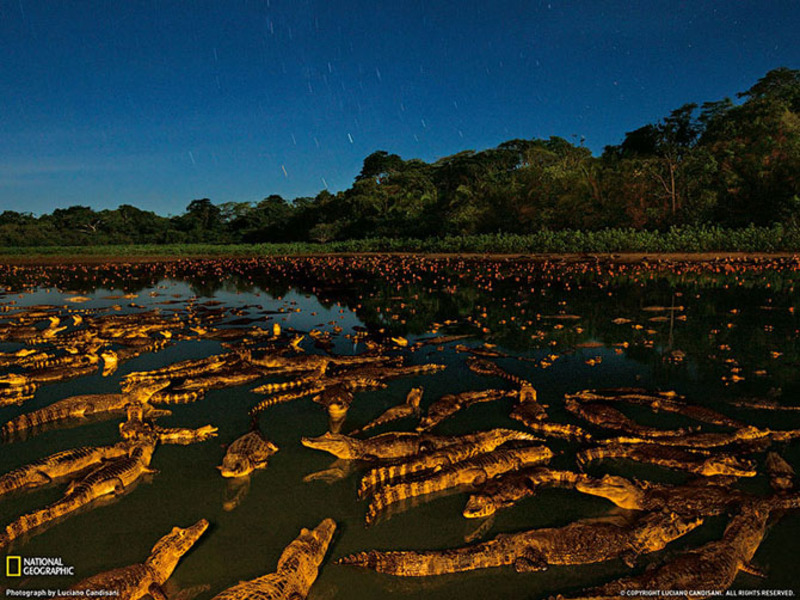 Лучшие фотографии National Geographic за июль 2013