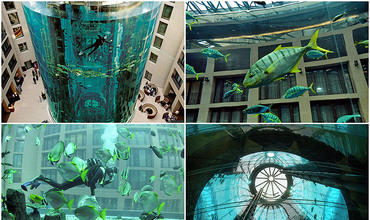 Aquadom — огромный аквариум в отеле Radisson Blu