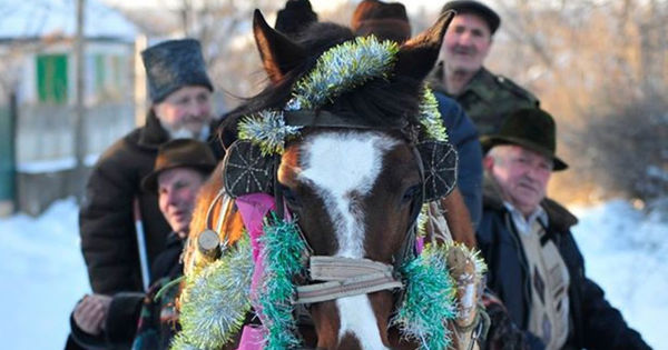 Cete De Colind Tori Din Raionul Soroca Au Vestit Na Terea Domnului