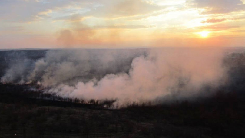 Un Incendiu De Vegeta Ie A Izbucnit La Botanica