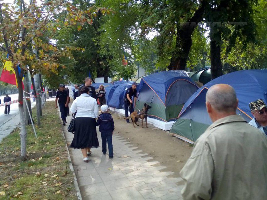 "Городок Победы" обыскали полицейские с собаками