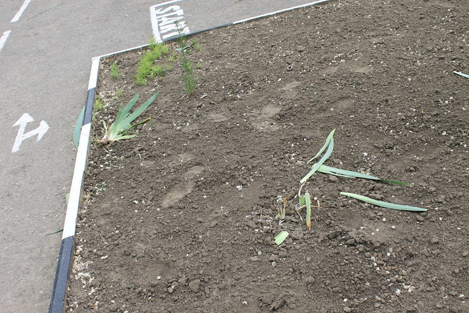 В центральном парке Леово вандалы повредили дорожные знаки и разрисовали детские горки