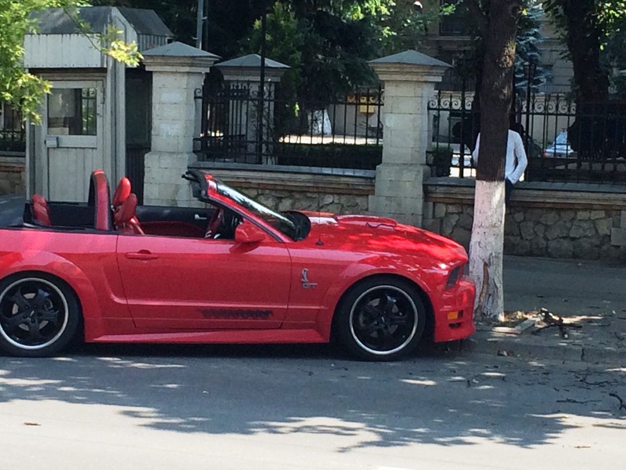 В Кишиневе водителя Mustang остановило дерево