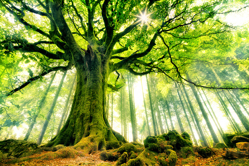 45 Лучших фотографий 2013 года по версии журнала TwistedSifter