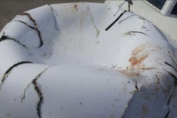 Cum arată botul unui avion după ce-a lovit în zbor o pasăre