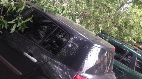 На Албишоаре крупная ветка упала на припаркованные автомобили