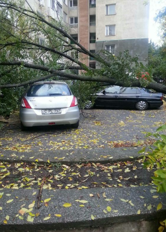 Un arbore a căzut în această dimineaţă peste patru automobile