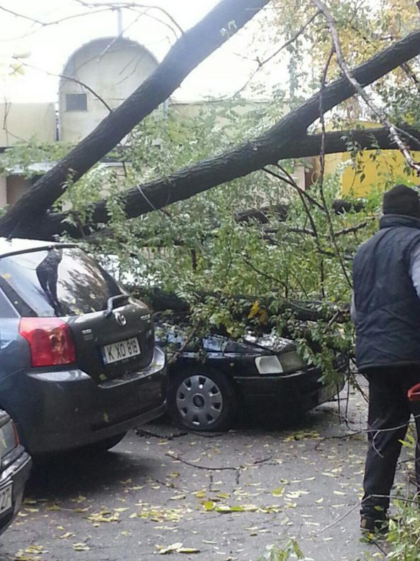 Un arbore a căzut în această dimineaţă peste patru automobile