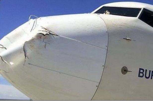 Cum arată botul unui avion după ce-a lovit în zbor o pasăre