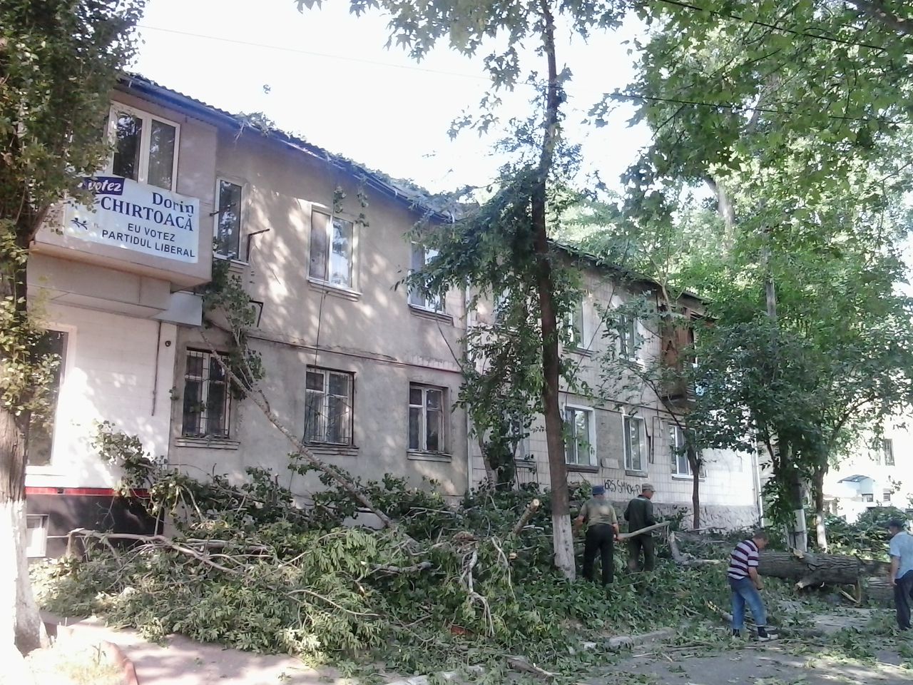 Un copac s-a prăbușit peste o casă din sectorul Buiucani