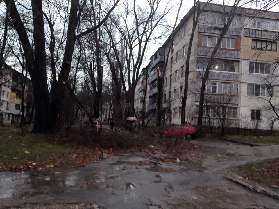 На Рышкановке машину придавило упавшим деревом