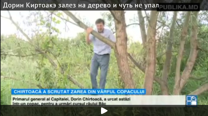На Гидигиче Дорин Киртоакэ чуть не свалился с дерева