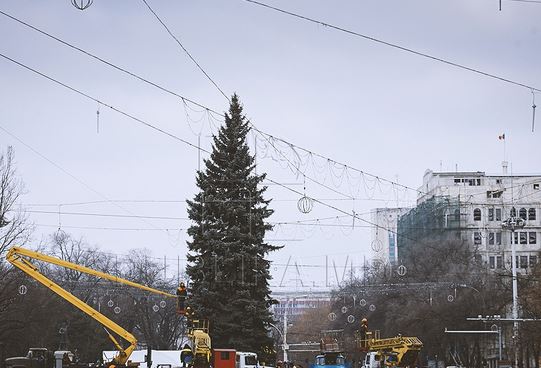 Рождественскую ель установили в центре столицы