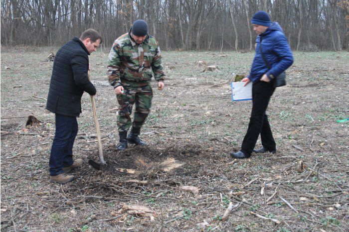 Мунтяну обнаружил незаконную вырубку деревьев в хынчештском лесхозе