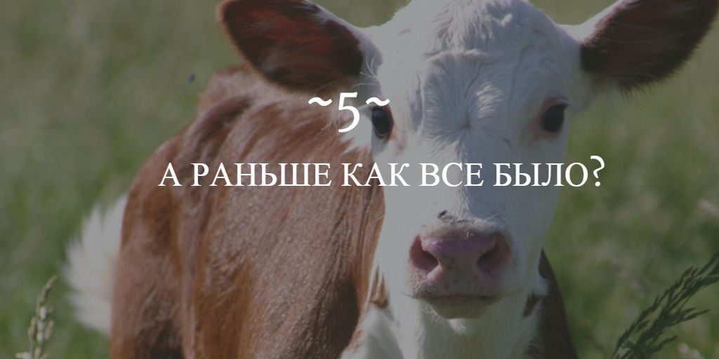 Мясной скандал: почему правительство обвинили в монополизации и вредительстве
