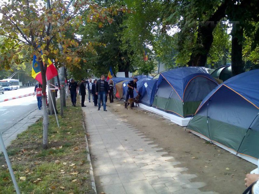 "Городок Победы" обыскали полицейские с собаками