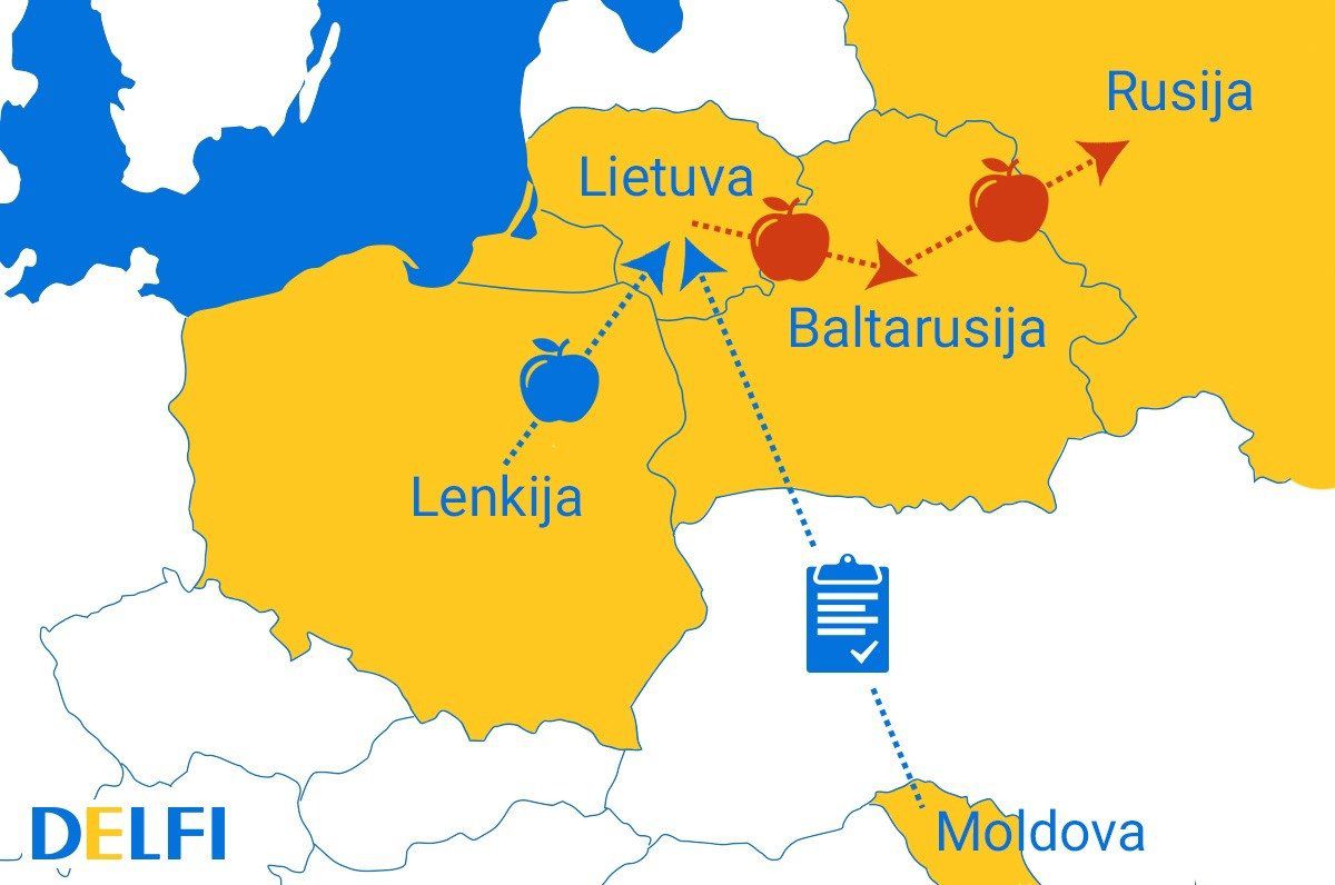 Международная афера: польские яблоки попали в Литву, стали молдавскими и оказались в России