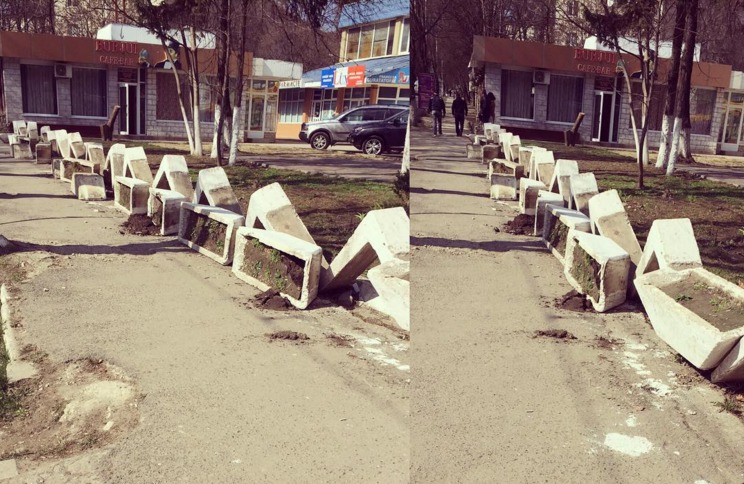 Вандалы взялись за столичные вазоны