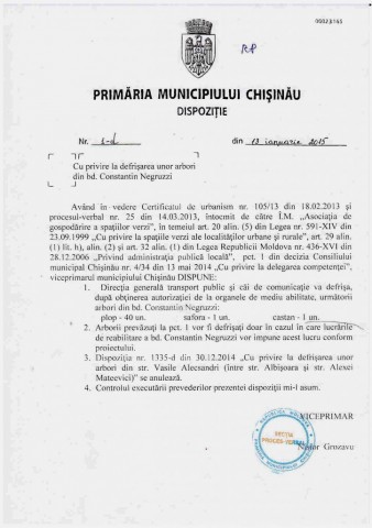 Свыше 160 деревьев на двух столичных улицах могут быть вырублены