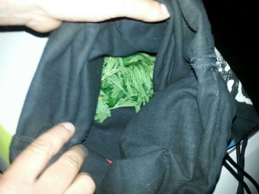 Reţinut de poliţie la miez de noapte; Ducea un rucsac plin cu plante de cânepă