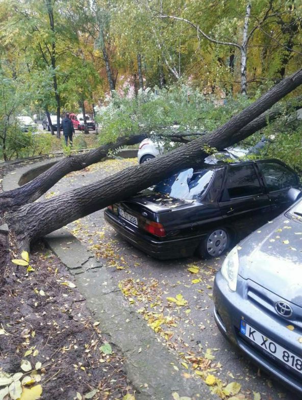 Un arbore a căzut în această dimineaţă peste patru automobile