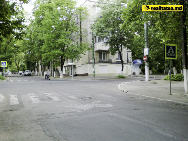 В Кишиневе на пешеходном переходе нарисовали настоящую зебру