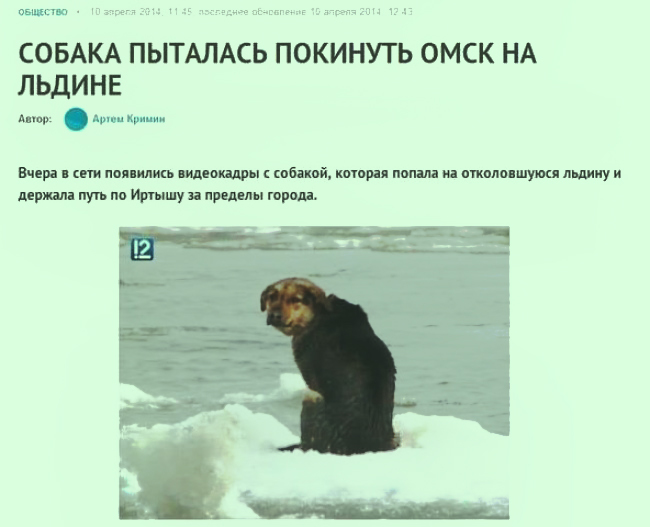 Самые яркие заголовки новостей в рунете