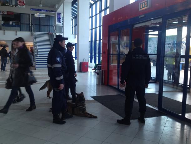 В аэропорту Кишинева порядок охраняют при помощи служебных собак
