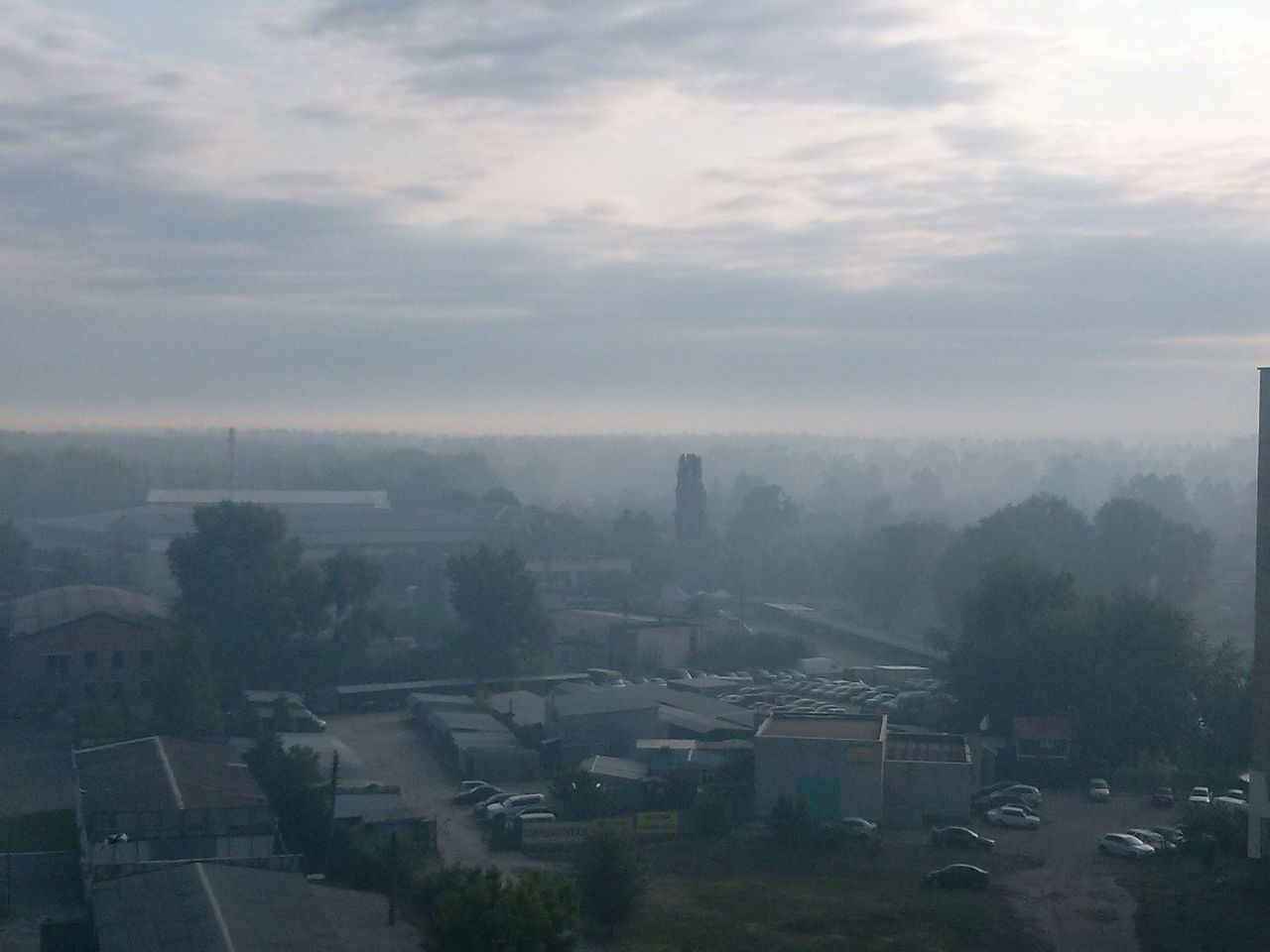 В Киеве горит лес: Дарницу затянуло дымом