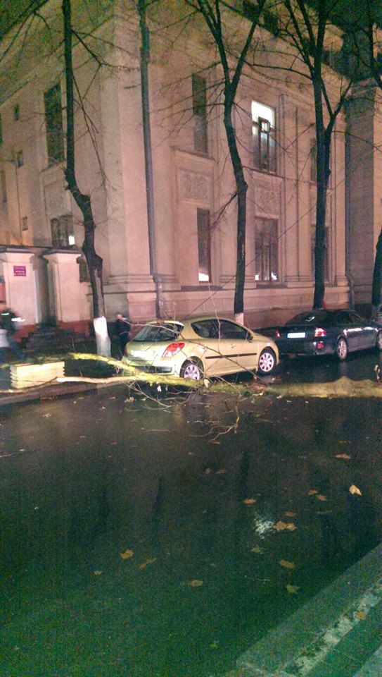 Ambuteiaj din cauza unui copac cazut pe strada Eminescu din capitala