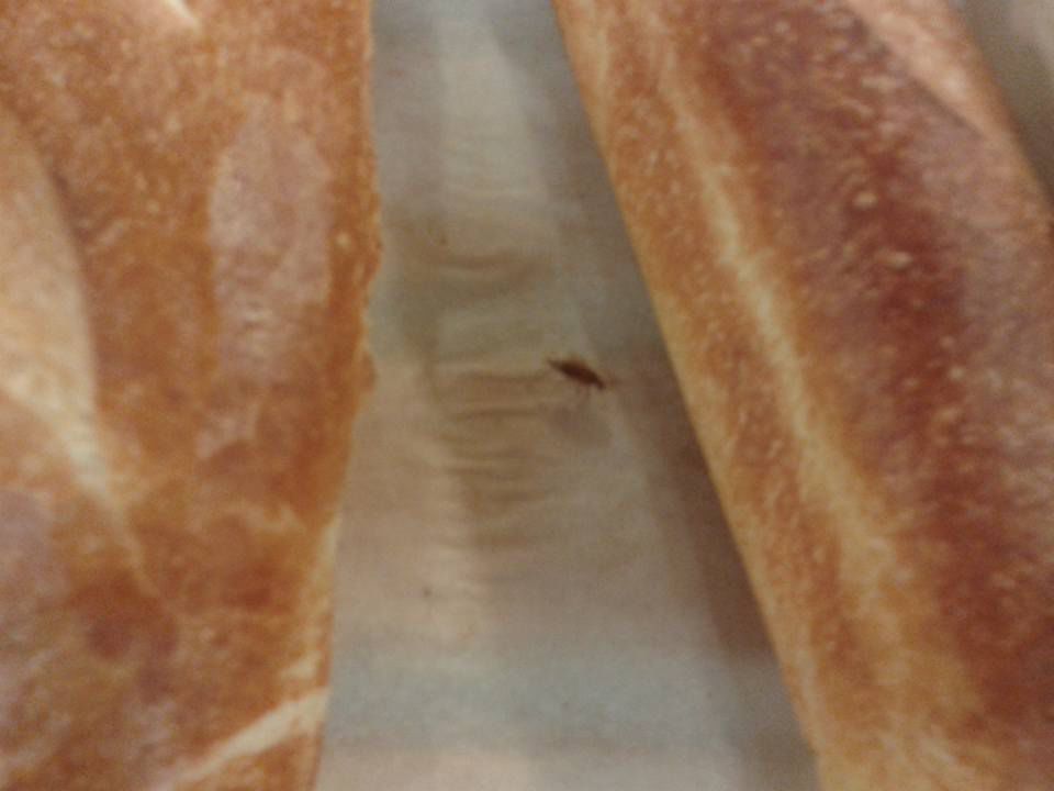 Gândac, pe pâine. Imagini surprinse într-un supermarket