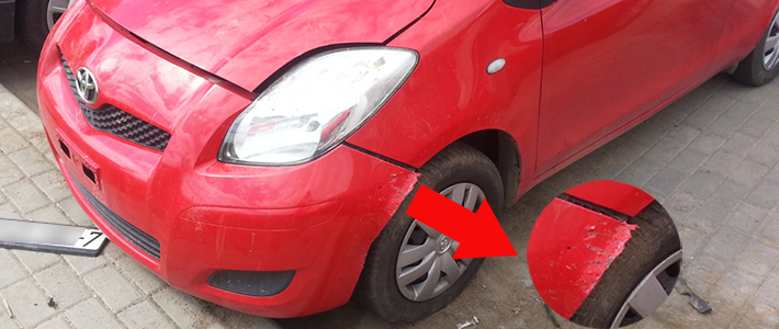 В Минске припаркованную Toyota покусала собака