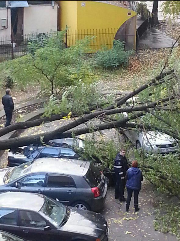 Un arbore a căzut în această dimineaţă peste patru automobile