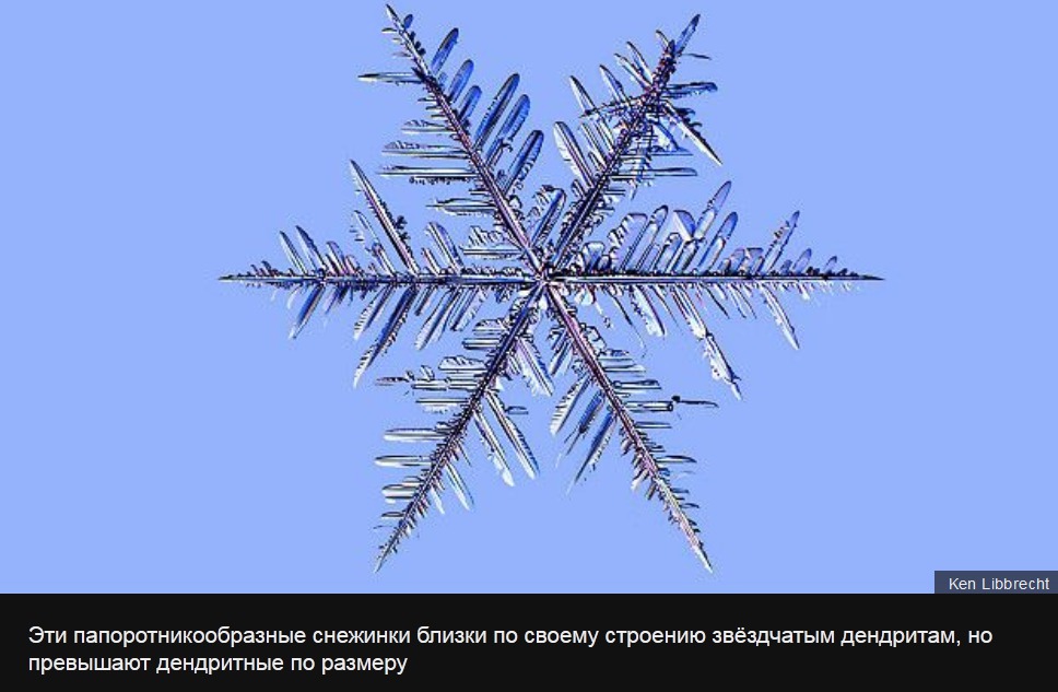 Неповторимые и чудесные: геометрия снежинок в фотографиях