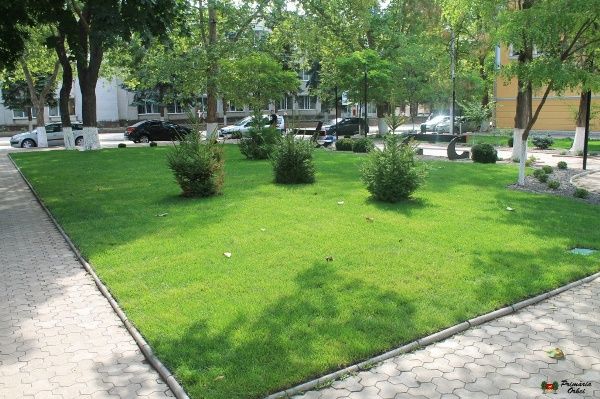 В Оргееве благоустроили сквер Европы