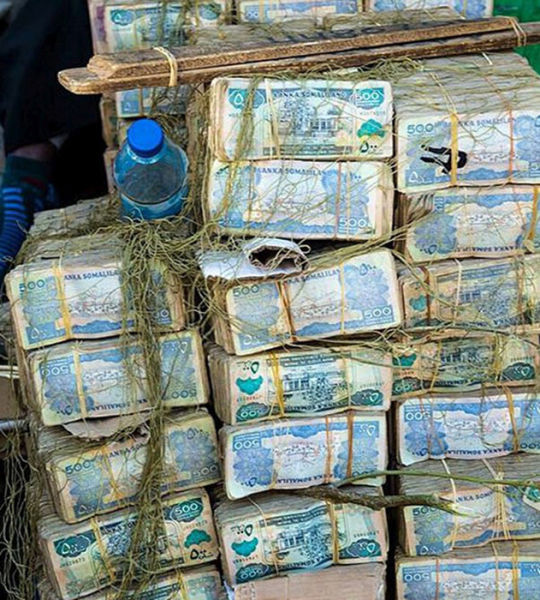 Ţara în care oamenii îşi cară banii cu roaba