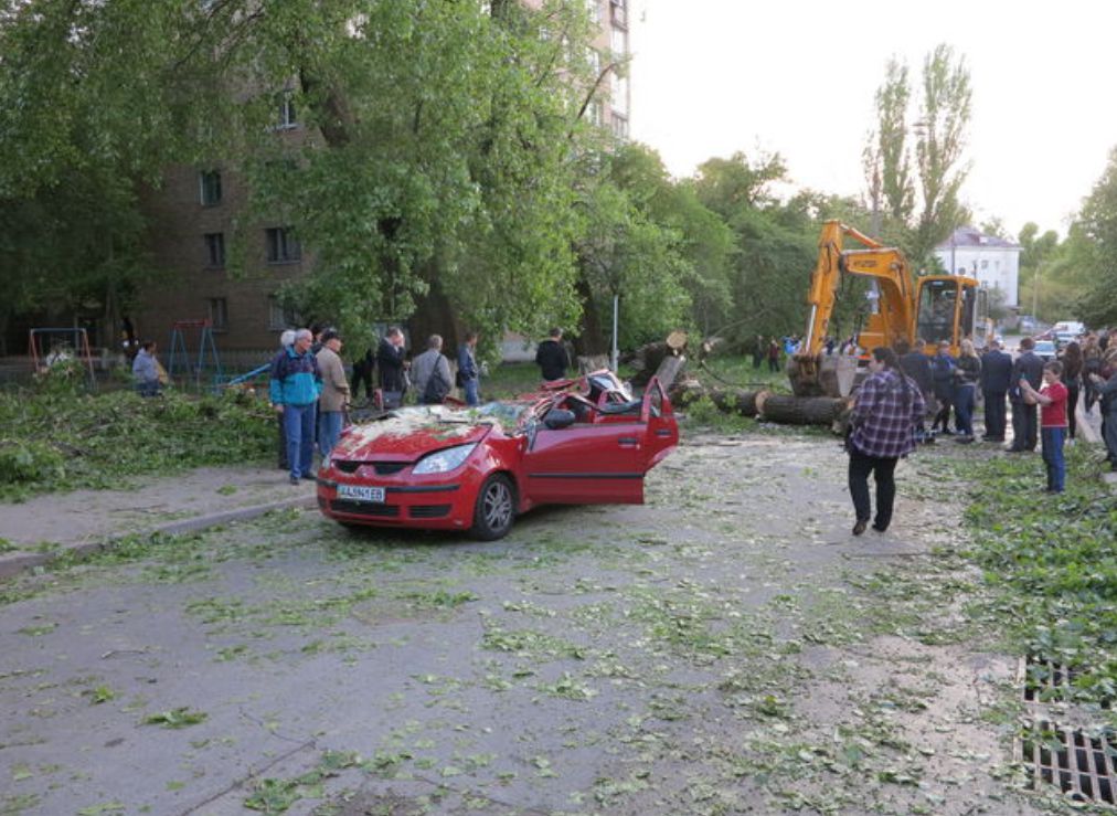 В Киеве упавший тополь убил 5-летнего малыша в день рождения его мамы