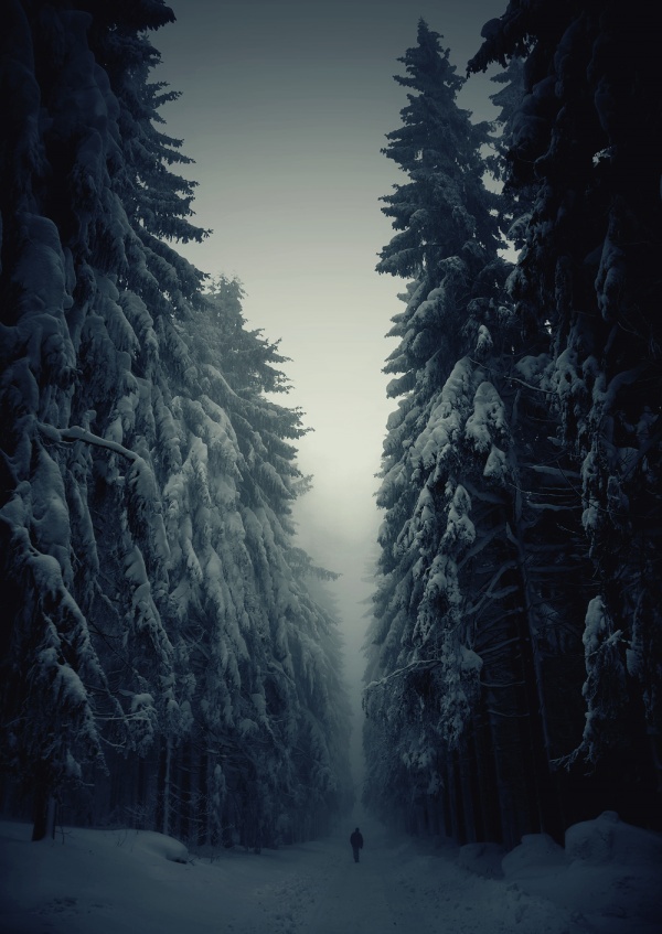 Что делать фотографу зимой