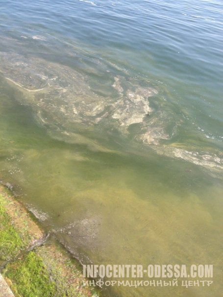 На Черном море – пятна мазута и пленка: туристы обеспокоены