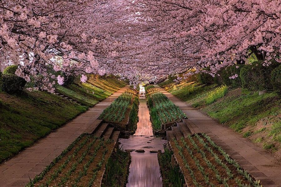 45 Лучших фотографий 2013 года по версии журнала TwistedSifter