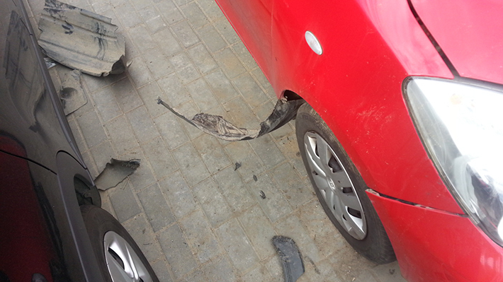 В Минске припаркованную Toyota покусала собака